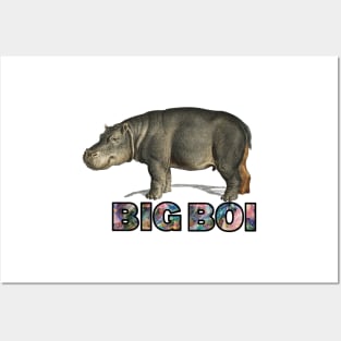 big boi hippo galaxy space text Posters and Art